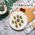 可可愛愛mini仙人掌