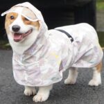 雨中漫步防水雨衣 • 寵物外出防髒雨衣：圖片 4