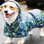 雨中漫步防水雨衣 • 寵物外出防髒雨衣：圖片 2