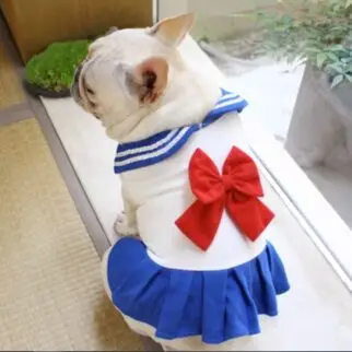 胖胖美少女水手服 • 狗狗貓咪寵物衣服