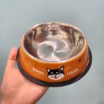 繽紛不銹鋼雙層餵食碗 • 寵物貓咪狗狗碗：圖片 7
