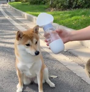 毛毛星人隨身喝水壺 • 外出喝水飲水器：圖片 2
