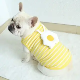 胖胖蛋黃法鬥 • 狗狗貓咪寵物衣服