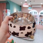 繽紛不銹鋼雙層餵食碗 • 寵物貓咪狗狗碗：圖片 2
