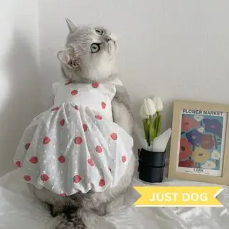 甜美草莓連身裙 • 狗狗貓咪寵物衣服