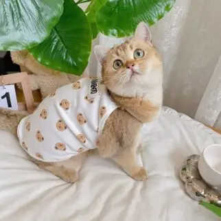 小熊背心 • 狗狗貓咪寵物衣服
