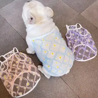 小雛菊防曬紗衣 • 狗狗貓咪寵物衣服