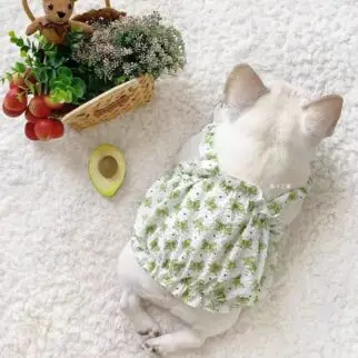胖胖蝴蝶結吊帶裙 • 狗狗貓咪寵物衣服