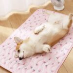 夏日透氣軟軟涼墊 • 寵物貓咪狗狗睡窩：圖片 2