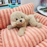泰迪貴賓狗狗絨毛玩偶