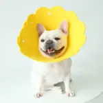KomHom伊莉莎白圈 • 防舔圈頸圈絕育圈