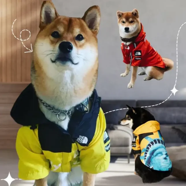防水衝鋒衣• 寵物外出防髒雨衣