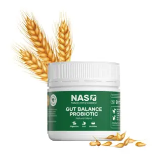 NAS天然草本 • 腸道平衡益生菌80g