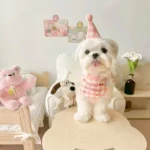 櫻桃慶生帽領巾• 生日圍兜三角巾：圖片 2