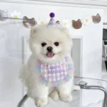 櫻桃慶生帽領巾• 生日圍兜三角巾：圖片 3