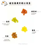 寵物溶豆羊奶鈣片✦綜合蔬果羊奶小豆豆：圖片 2