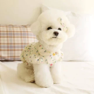 春田花花裙•狗狗貓咪寵物衣服