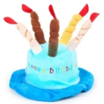 金燦蠟燭生日帽 • 慶生帽子：圖片 3