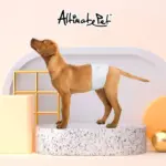 Altimate Pet • 粉安心尿褲禮貌帶 • 男XL-7入：圖片 4