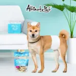 Altimate Pet • 粉安心尿褲禮貌帶 • 男XS-12入：圖片 2