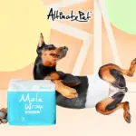 Altimate Pet • 粉安心尿褲禮貌帶 • 男XS-12入：圖片 3