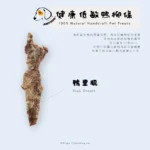 健康低敏鴨柳條：圖片 2