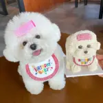 生日格子花邊領巾•三角巾口水巾：圖片 3