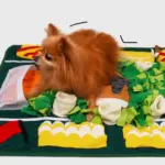 美式足球員藏食墊 • 嗅聞墊嗅聞毯藏食玩具：圖片 2