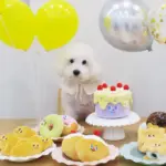 藏食芋泥蛋糕•韓國超紅寵物益智玩具：圖片 2