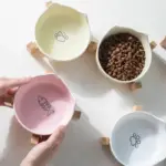 貓貓陶瓷寵物碗•增高護頸碗：圖片 2