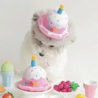 韓國HBD蛋糕帽 • 生日帽子