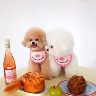 我不是小豬領巾 • 口水巾圍巾飾品