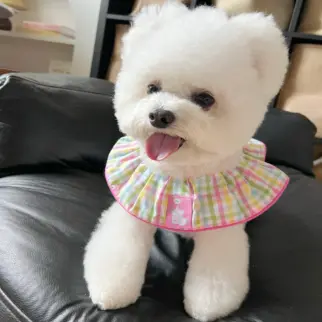 彩色格紋口水巾 • 領巾圍巾飾品