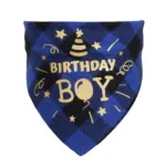 生日三角巾帽子組 • 生日領巾飾品：圖片 2