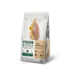 成犬人參健體草本無穀犬糧 • 靈萃 VIGOR&SAGE：圖片 3
