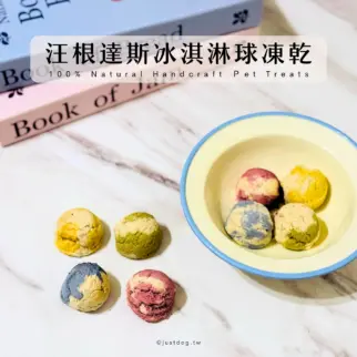 汪根達斯冰淇淋球凍乾