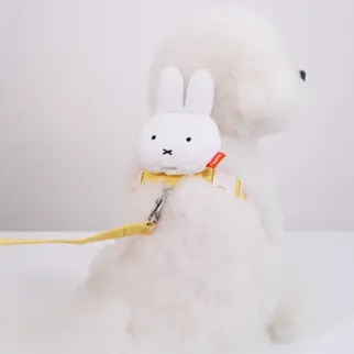 Miffy背包胸背帶 • 韓國Noutti • 牽繩