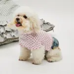 俏皮櫻桃蕾絲上衣 • 韓國LOUIS DOG：圖片 2