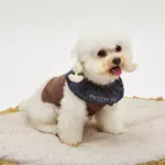 復古小水手 T 恤 • 韓國LOUIS DOG：圖片 2