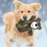 麻布狗狗玩具：圖片 2
