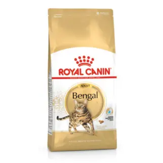 Royal Canin法國皇家 • FBN 皇家豹貓成貓BG40 • 貓咪飼料乾糧