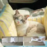 條紋寵物車載睡墊 • 睡窩沙發床：圖片 4