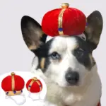 國王皇冠帽子 • 頭套飾品