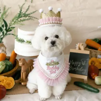 公主風生日皇冠 • 生日領巾 生日帽