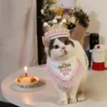 公主風生日皇冠 • 生日領巾 生日帽：圖片 2