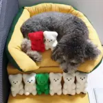 小熊軟糖發聲玩具 • 寵物玩具：圖片 2