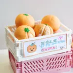 迷你橘子發聲玩具：圖片 2