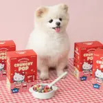 Crunchy Pop寵物麥片球球 • 韓國Bite Me Hello Kitty聯名：圖片 2
